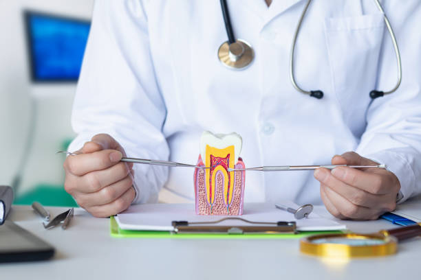 Best Broken or Chipped Tooth Repair in Lakesite, TN
